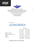 Trabajo Seminario Gonorrea