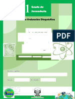 1º Prueba Diagnóstica CYT - 2024