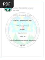 Analisis Critico