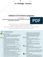 6 - 2 - El Sistema Sanguíneo