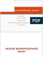 Hexose Monophosphate Shunt