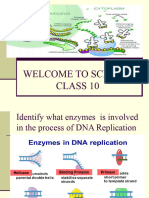 Protein Synthesis Final