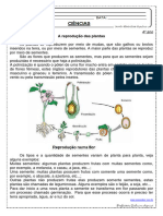 A Reprodução Das Plantas