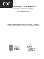 Protocolo de Actuación para Casos de Intentos de Linchamientos en El Estado de Puebla