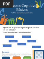 Aula 5 - Processos Cognitivos B Sicos