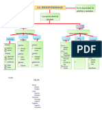 Mapa Conceptual Biodiversidad