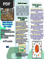 Organismos Ambientales y Anp