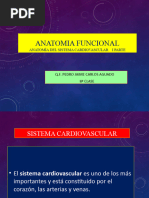 A. F. 8 Clase Anatomía Funcional