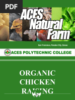 Organic Chicken Raising