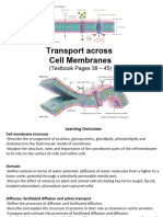 Week 6 Cell Membrane