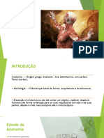 AULA ANATOMIA HUMANA TURMA ENF 22 para 16 11 - 211114 - 233945