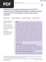 Prediction of Molecular Phenotypes For Novel SCN1A Variants From A Turkish Genetic Epilepsy Syndromes Cohort and Report of Two New Patients With Recessive Dravet Syndrome