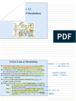 Chapter 12 (Chemical Logic of Metabolism)