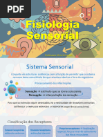 Fisiologia Sensorial 24