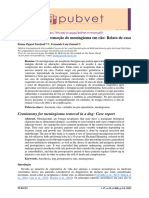 1468+ +3268+ +Craniotomia+Para+Remoção+de+Meningioma+Em+Cão