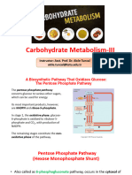 LECTURE 4 - Carbohydrate Metabolism