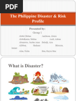 The Philippine Disaster Risk Profile G1