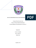 Banana Pseudostem Cellular Confinement System Lucentepulidoonez