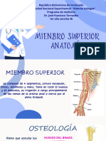 Miembro Superior - 20240310 - 215859 - 0000