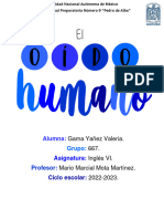 El Oído Humano