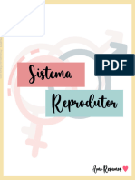 Sistema Reprodutor