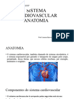 Aula 1 Cardiovascular