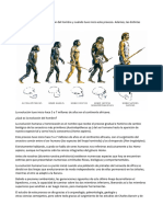 Evolución Del Hombre