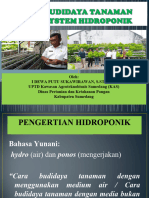 Hidroponik Sudah Edit