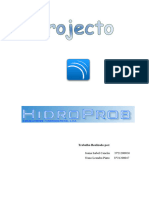 Hidroprob