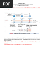 TD 2 Corrigé Elearning