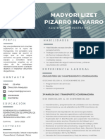 Cv-Pizarro Navarro Madyori