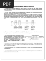 Actividades Genetica Molecular