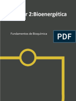 Taller Bioenergética 