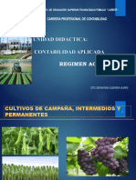 Regimen Agrario Vb23