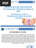 Protocolo de Atención de Victimas de Violencia Sexual 2024