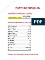 Ensayo de Consolidacion Vacacional