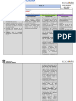 Formato Programa Analítico 6