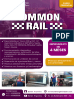 Temario Common Rail 2024