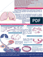 Ejemplo de Poster Porción Respiratoria 200x100