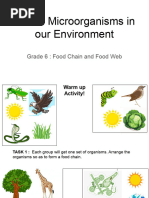 Unit 7 - Microorganisms - Food Chain and Food Web