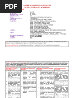 Plan de Diagnostico 6to