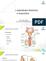 Sistema Reprodutor Feminino e Masculino