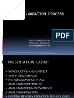 Gold Amalgamation Process in MZ