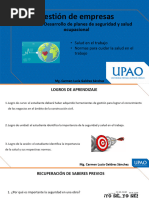 Gestión de Empresas: Unidad IV: Desarrollo de Planes de Seguridad y Salud Ocupacional