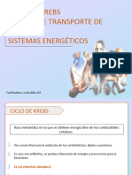 Sistemas Energeticos