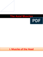 The Axial Muscles