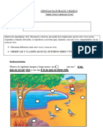 1° Básico Ciencias Naturales Seres Vivos y No Vivos