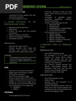 Integumentary System PDF 2