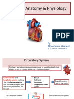 Project Cardio Vascular System - MB