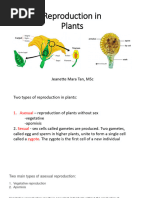 Reproduction in Plants